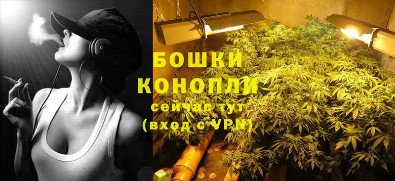 Конопля THC 21%  где найти   Межгорье 